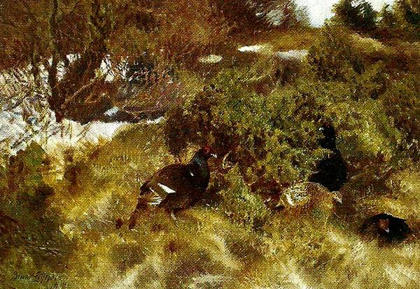bruno liljefors landskap med orrar, tidig var oil painting picture